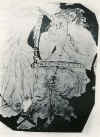 harp6.jpg (38646 octets)