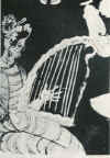 harp7b.JPG (30214 octets)